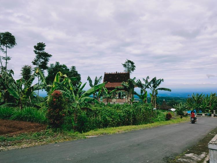 Tanah Idaman Kawasan Wisata Kebun Teh Kemuning Ngargoyoso