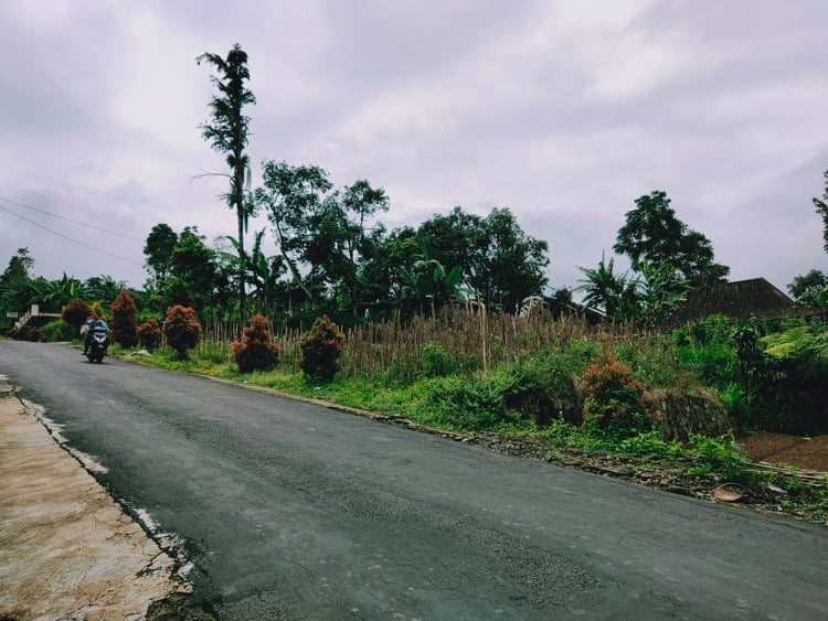 Tanah Idaman Kawasan Wisata Kebun Teh Kemuning Ngargoyoso