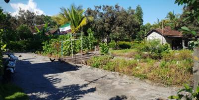 TANAH PEKARANGAN Utara Pasar Rejodani