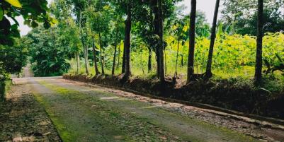 Tanah Datar Selatan Pasar Batujamus Mojogedang Karanganyar
