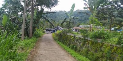 Tanah Idaman View Kebun Teh Kemuning Ngargoyoso Karanganyar