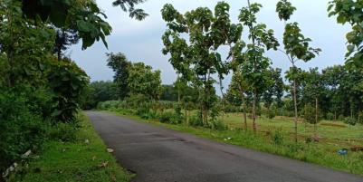 Tanah 5567m² Idaman Tepi Jl. Raya Kerjo-Karanganyar