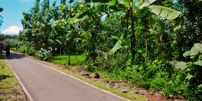 Dijual Tanah 250m² 75Jt Timur SMPN 1 Kerjo Karanganyar