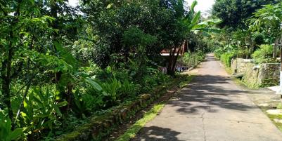 Tanah Idaman Cocok untuk Homestay Karanganyar