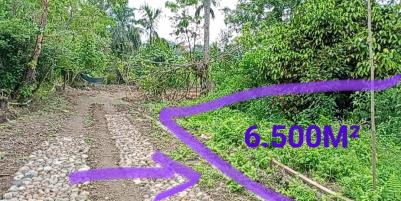 TANAH DIPINGGIR JALAN DESA  BANDAR BARU SUMATERA UTARA (081264304189)