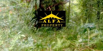 Tanah Gg. Ringin Sari, Pontianak, Kalimantan Barat