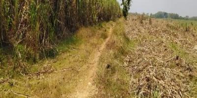 Dijual Tanah Strategis di Rejosari, Sukoharjo