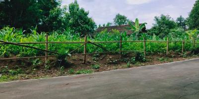 Tanah Strategis Buka Usaha dan Tempat Tinggal Tasikmadu Karanganyar