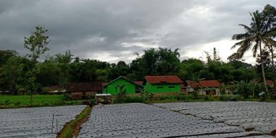Tanah 2970m² View Hamparan Sawah Ngargoyoso Karanganyar