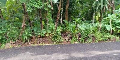 Tanah Datar Siap Dibangun Kerjo Karanganyar CP Telp/WA: 082327612345