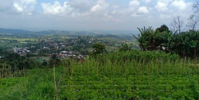Tanah Idaman View Pemandangan Alam Kemuning Ngargoyoso Karanganyar Telp/WA: 082327612345