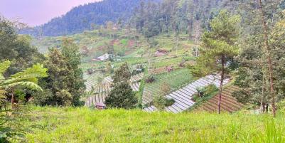  Tanah 275 Juta Kawasan Wisata Ngargoyoso 