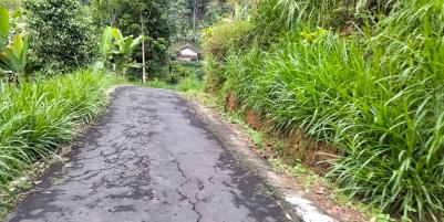 Tanah 90 Juta Udara Dingin Ngargoyoso 