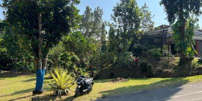 Kebun Durian Subur 1000m Kerjo, Karanganyar 