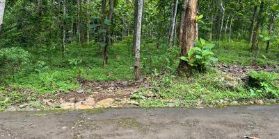 Tanah Datar 2293m² 300 Juta Karanganyar 