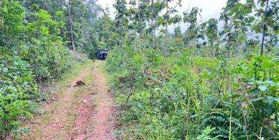 DIJUAL TANAH PEKARANGAN 1 HEKTAR  – SAMBIREJO, SRAGEN–SOLO