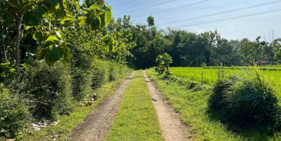 Tanah Subur 5360m² View Gunung Lawu Sragen 