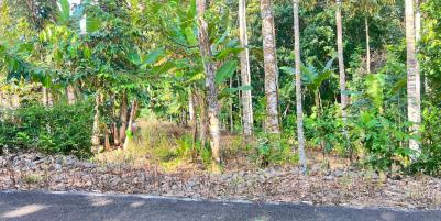 Kebun Durian 300 Juta Utara Pasar Mojogedang Karanganyar 