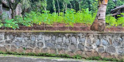 Tanah Datar 600m²  Cocok Dibangun Rumah Tinggal 