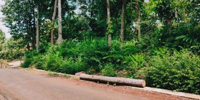Tanah Datar Tepi Jalan Siap Dibangun Selatan Pasar Mojogedang Kra