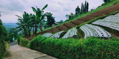Tanah Strategis Dibangun Vila Kemuning Ngargoyoso Karanganyar