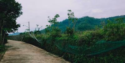 Tanah Strategis di Desa Wisata Kemuning Ngargoyoso Karanganyar