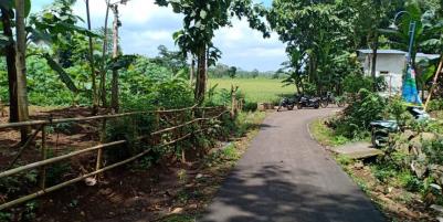 Tanah 1300m² View Sawah Kerjo Karanganyar