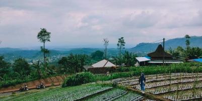 Tanah Idaman View Perbukitan Kebun Teh Kemuning Ngargoyoso Karanganyar