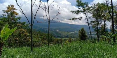 Tanah Idaman View Pemandangan Alam Kemuning Ngargoyoso Karanganyar Telp / WhatsApp 082327612345