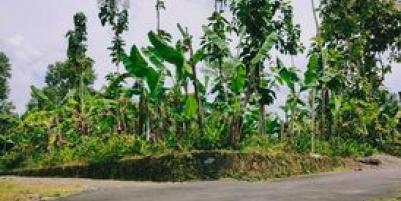 Tanah Datar Strategis Dibangun Vila Kerjo Karanganyar Telp/WA:082327612345
