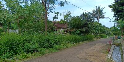 Tanah 3000m² Dekat Fasilitas Umum Mojogedang Karanganyar Telp/WA: 082327612345