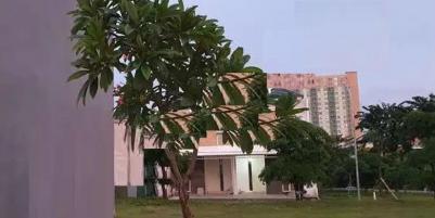 Jual Tanah Kawasan Perumahan Zimbali Costa Pakuwon City