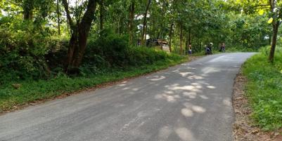 Tanah 1570m² Kebun Jati Strategis Buka Usaha Sambirejo Sragen Telpon / WA: 082327612345