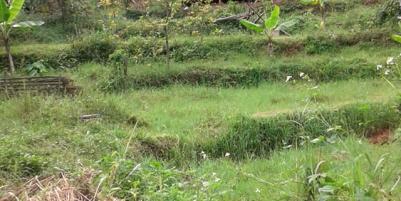 TANAH VIEW KOTA BANDUNG UNTUK RUMAH VILLA DAN KEBUN PRODUKTIF  DI UJUNG BERUNG