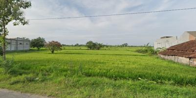 Jual Tanah Kavling Industri Nol Jalan Raya Balongpanggang Gresik