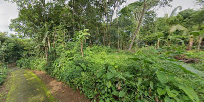 Tanah Datar 1471m² Barat Pasar Karangpandan 