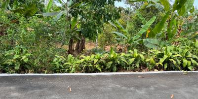 Tanah 2000m² Barat Pasar Kemuning Ngargoyoso Karanganyar