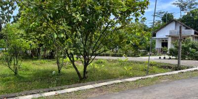 Tanah 80 Juta Bonus Kebun Buah Karanganyar