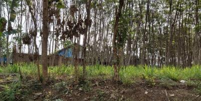 Jual Tanah SHM Sangat Luas di Tegal Mapan Malang