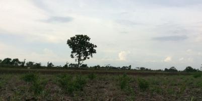Jual Cepat Tanah Industri Murah Kawasan Raya Mantup
