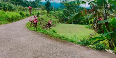 Dijual Tanah Cocok Untuk Resto/Villa Kemuning Ngargoyoso Karanganyar