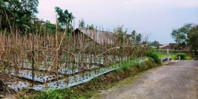 Dijual Tanah 284m² Kemuning Ngargoyoso Karanganyar