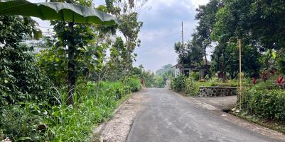 Jual Kebun Durian Murah Karangpandan Karanganyar
