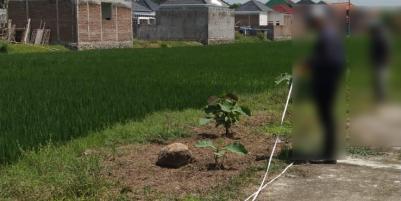 Jual Tanah Cocok untuk Kavling Sragen Kota