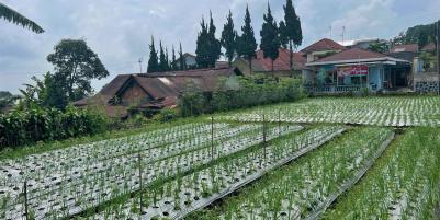 Tanah Strategis Udara Dingin Tawangmangu Karanganyar 