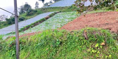 Tanah Dijual View Tanpa Terhalang Dekat Candi Cetho Karanganyar