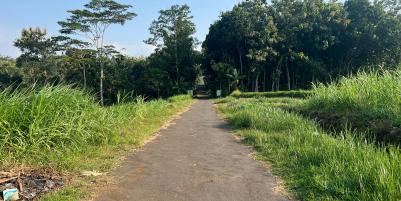 Dijual Tanah Datar View Gunung Lawu Kedawung Sragen