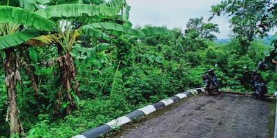 Dijual Tanah Subur di Kedawung Sragen