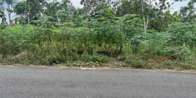 Tanah 705m² Tepi Jl Raya Kerjo- Ngargoyoso Karanganyar