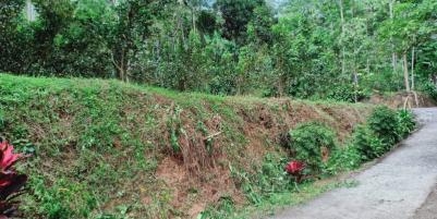 Tanah Kebun Jambu di Kota Wisata Ngargoyoso Karanganyar